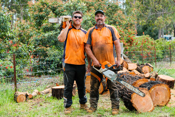 Choosing a Tree Service Company