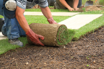 Landscaping